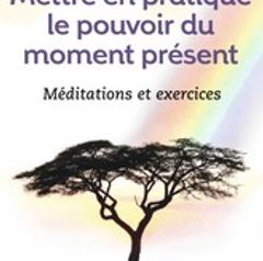 Le Livre Des Coincidences Dr Deepak Chopra - 