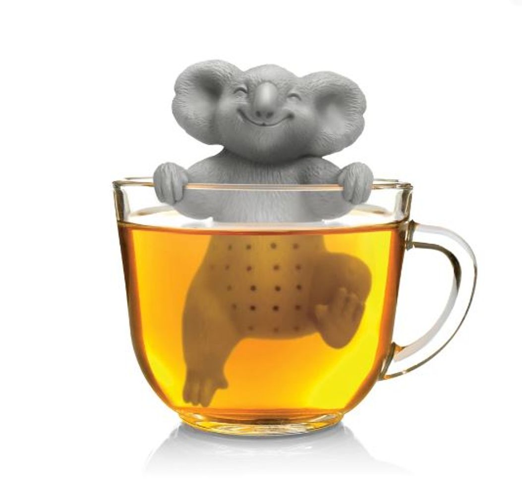 Koala tea time