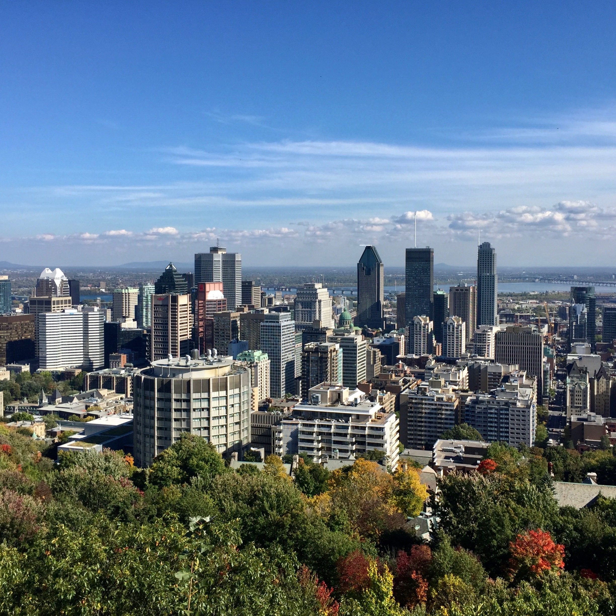 Vue d'automne du relief des édifices de Montréal, depuis le belvédère