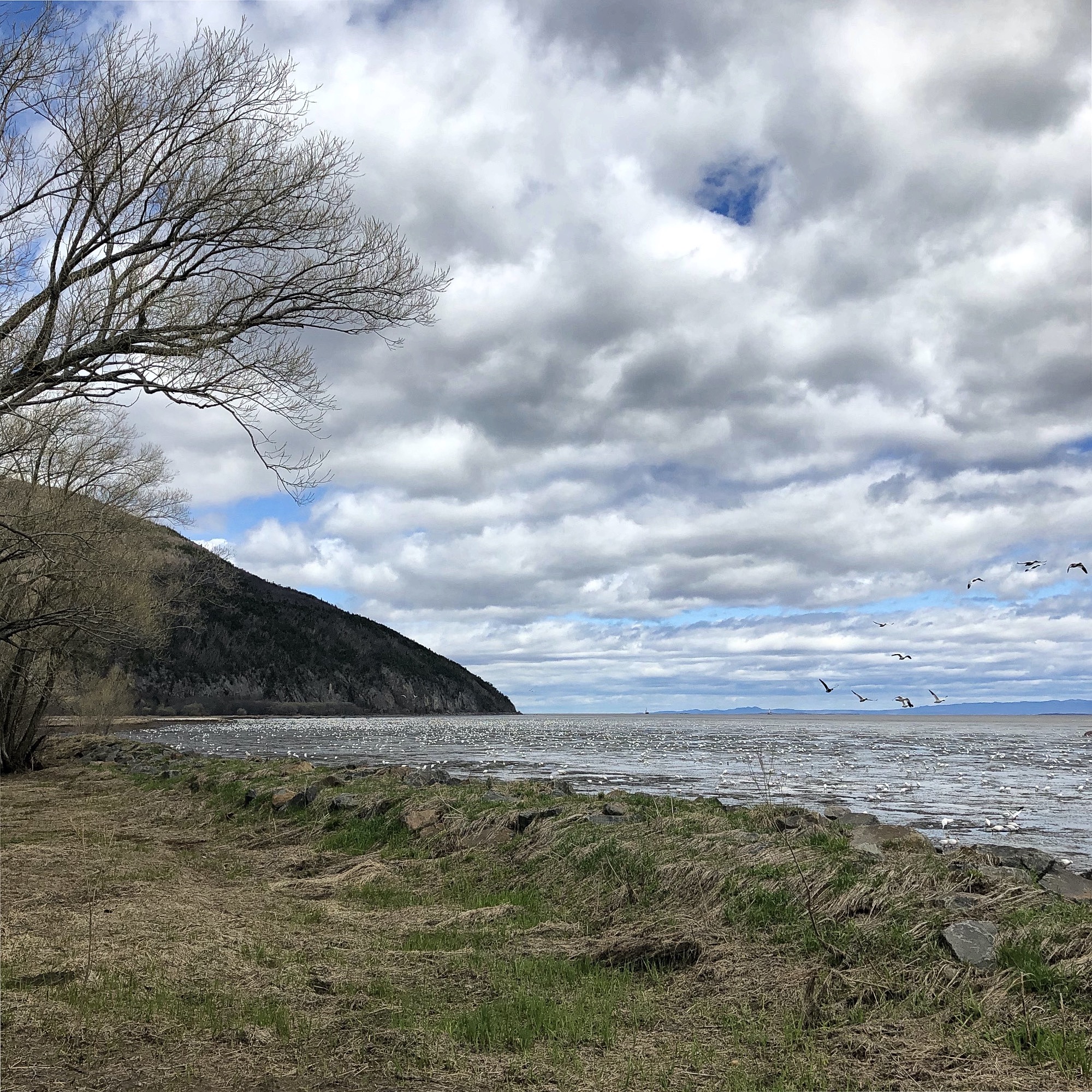Shores of the Saint-Lawrence river near La Malbaie, cloudy sky