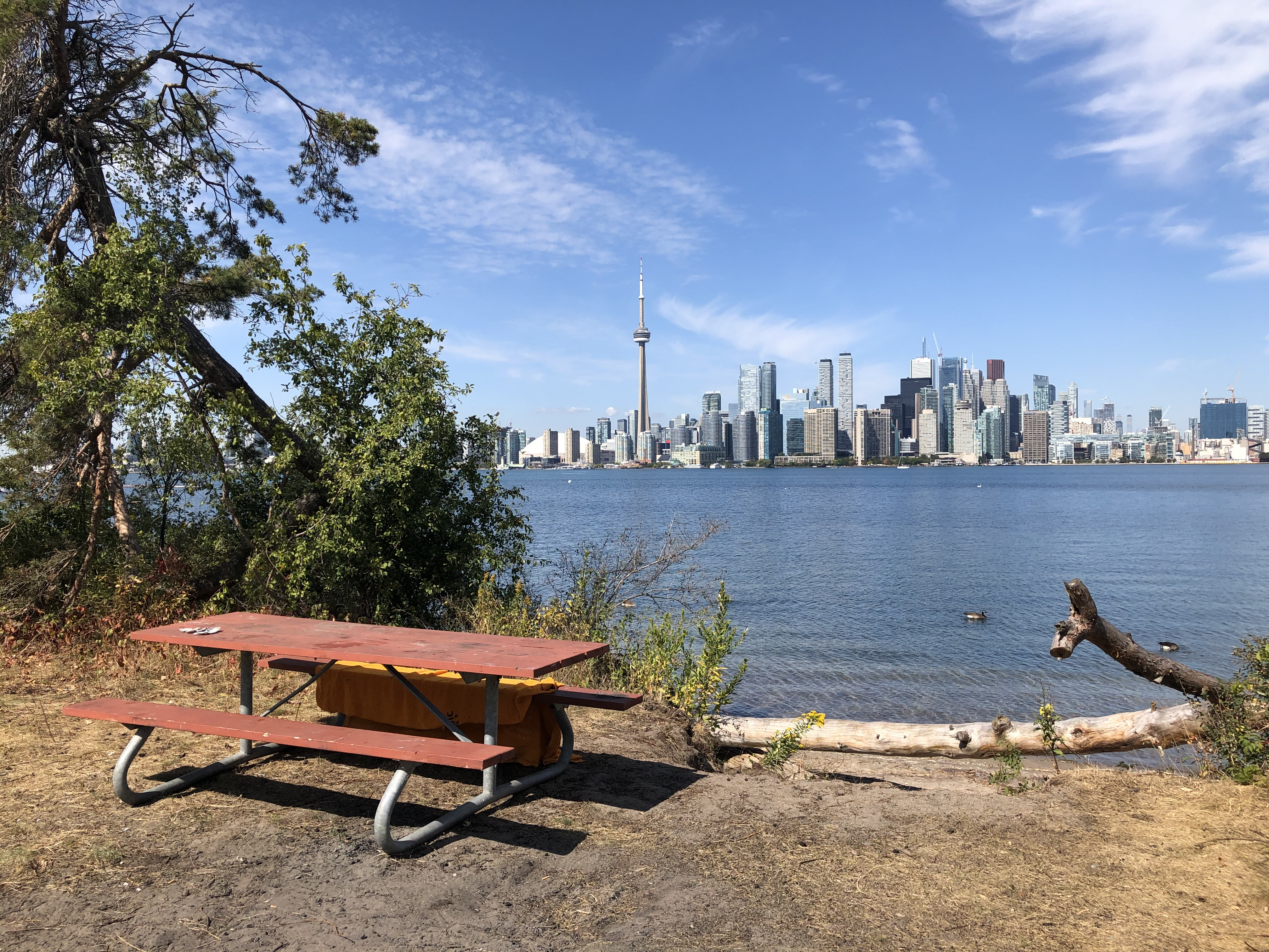 Table de Pique-Nique sur les berges de Snake Island.  Relief des édifices de Toronto et Tour du CN en arrière-plan.