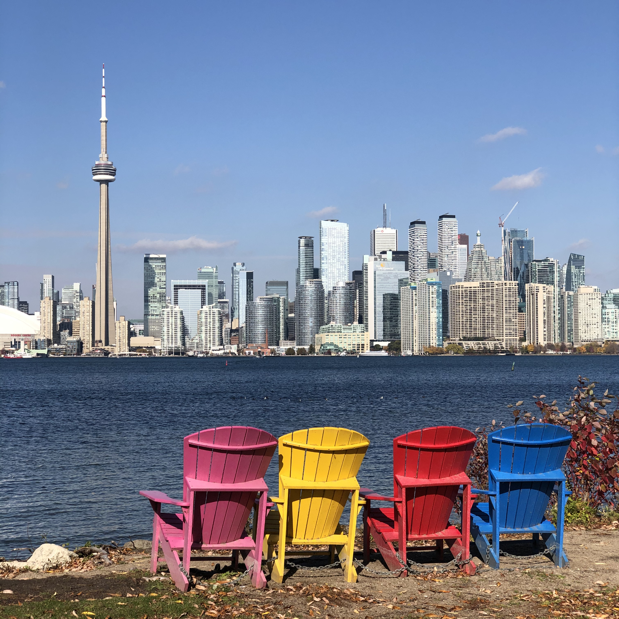 Quatre chaises de parterre colorées en bois faisant face au Lac Ontario.  On retrouve la Tour du CN et le relief de Toronto en arrière-plan.