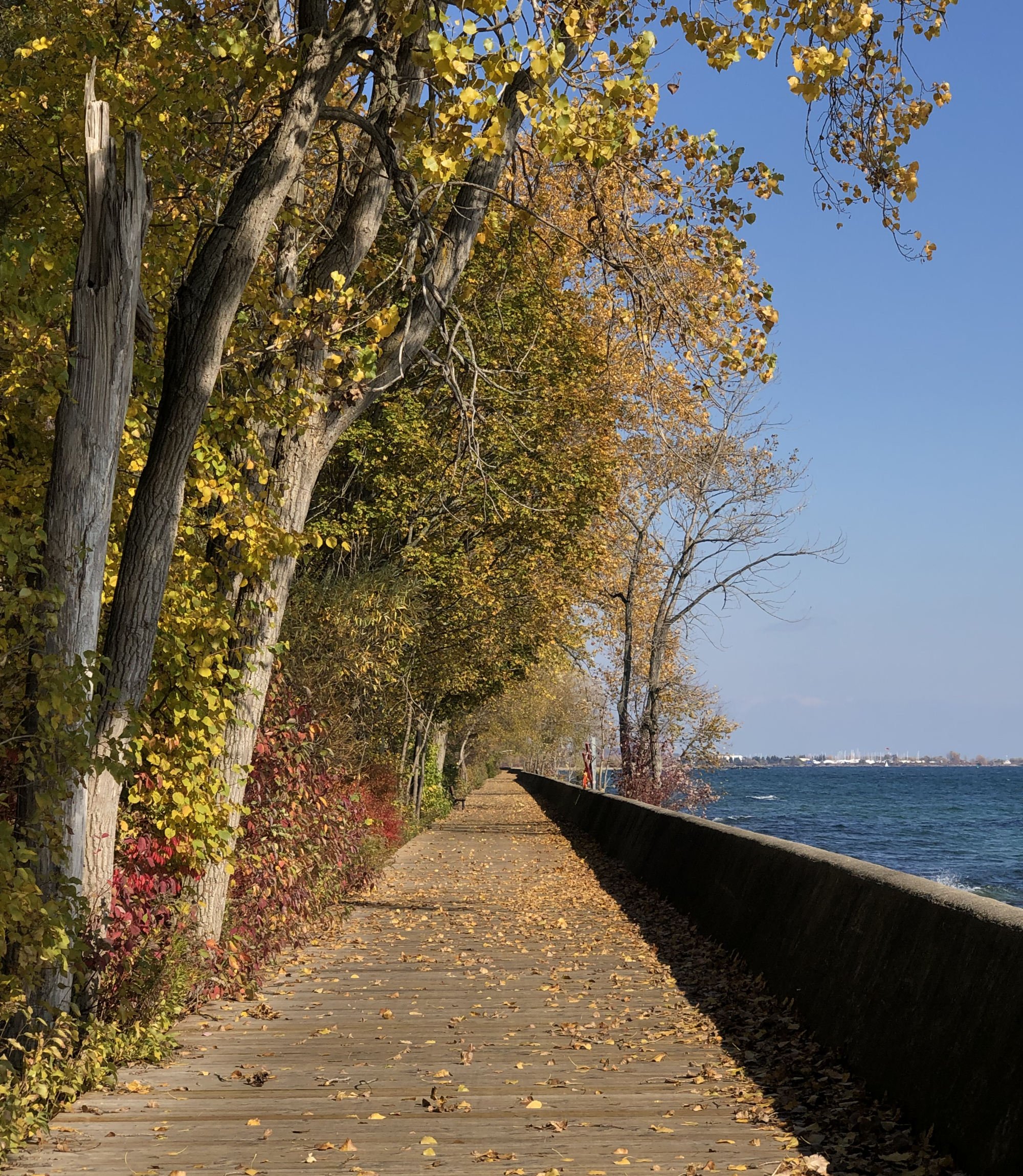 Vue d'automne de la promenade de bois de Centre Island à Toronto.